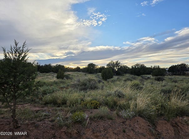 3908 Hidden Ranch Road, Snowflake, AZ 85937
