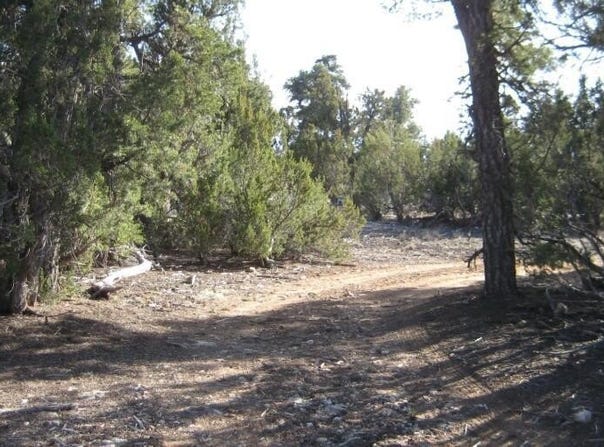 3249 E Aspen Road, Overgaard, AZ 85933