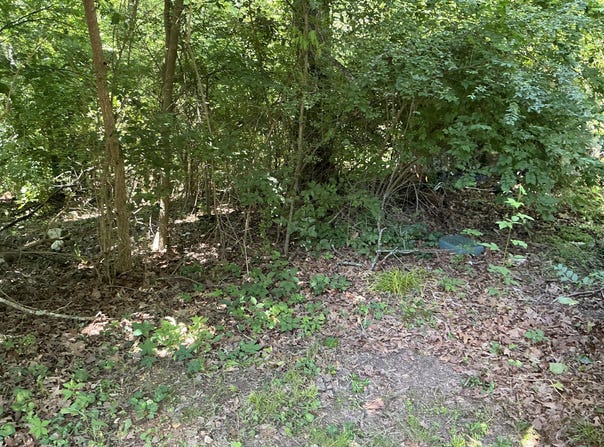 Winding Lane, Hixson, TN 37343