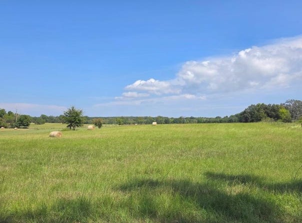 524 County Road 833, Guntown, MS 38849
