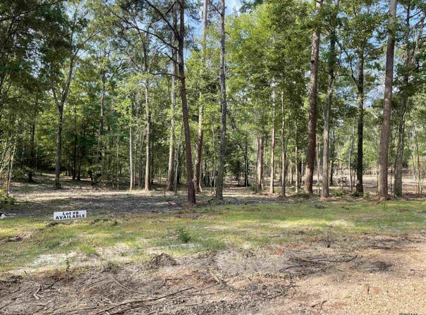 8177 Hepzibah Rd, Clinton, LA 70722