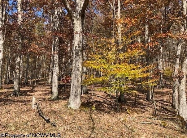 Holly Meadows Road, Parsons, WV 26287