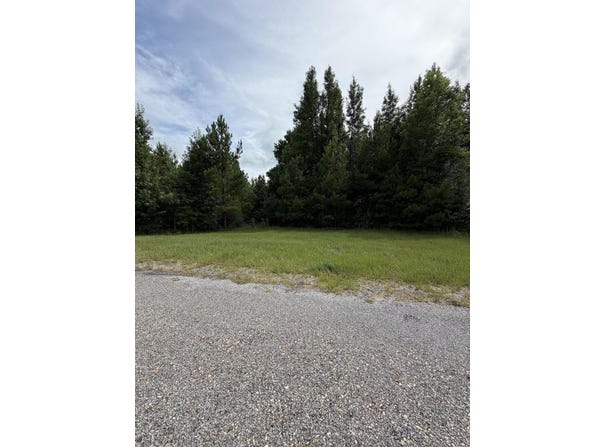 Parcel 4 R Thompson, Lumberton, MS 39455