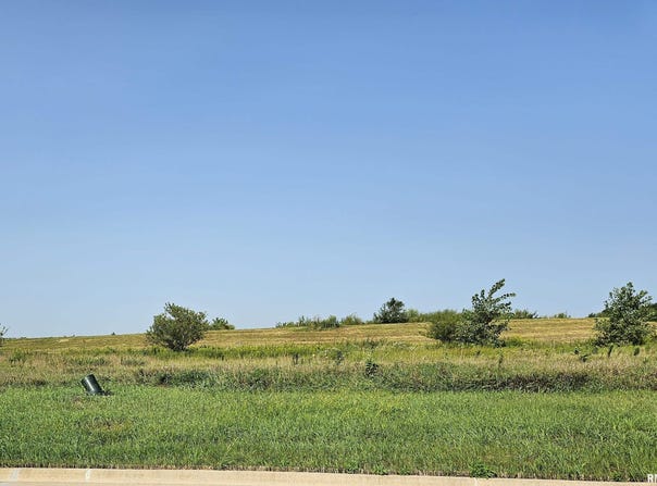 Kyle Court lot: 83, Metamora, IL 61548