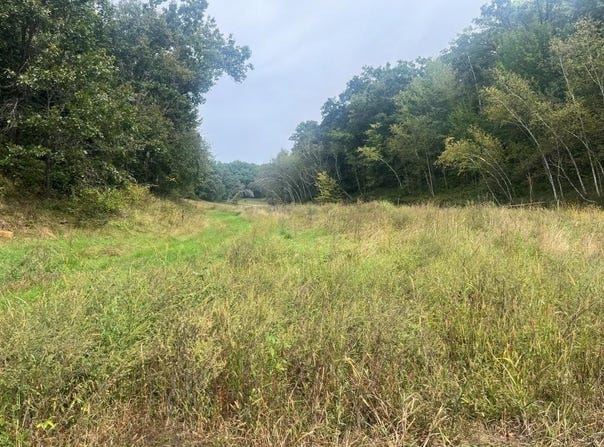 Claire Rd, Taylor, WI 54659