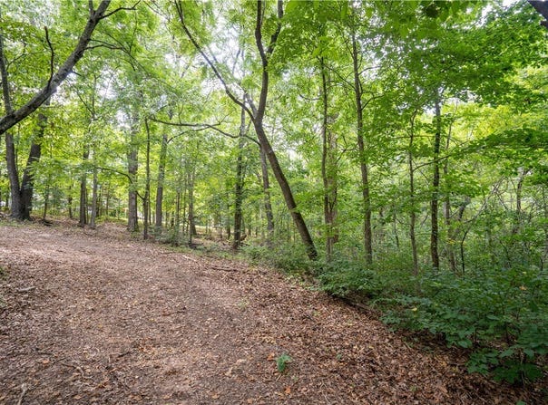 Cook Lane lot: 22, Bella Vista, AR 72715