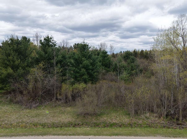 Hampton Drive lot: 4, Gladwin, MI 48624