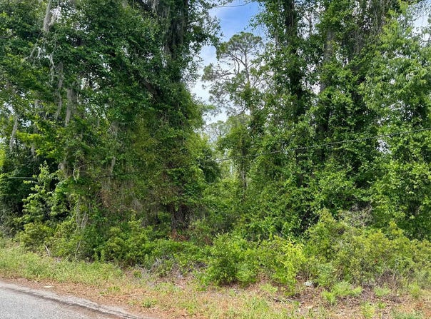 MAPLEWOOD ROAD lot: 1, Jasper, FL 32052