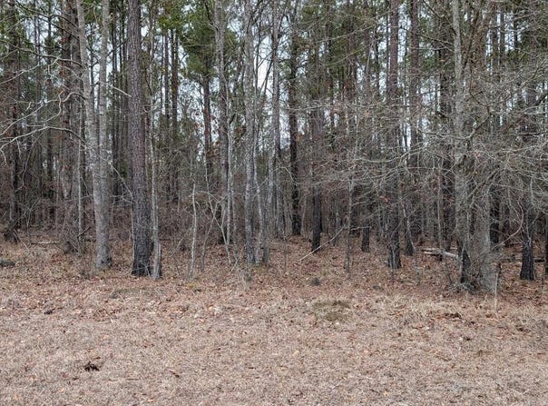 Retreat Way lot: 3, Ridgeway, SC 29130-0000