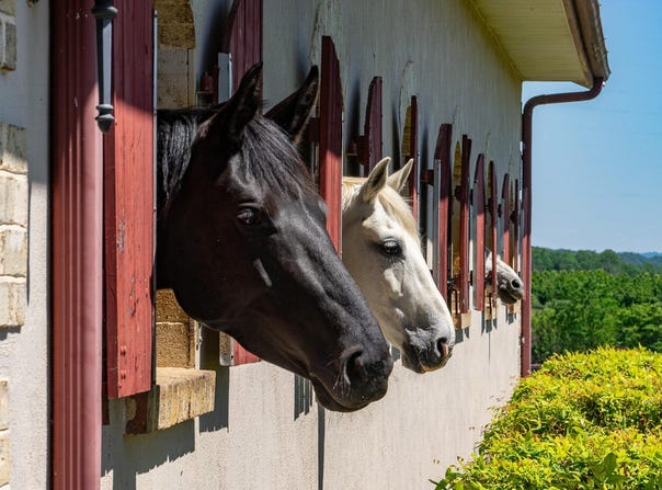 100 Equus, Natural Bridge, VA 24578
