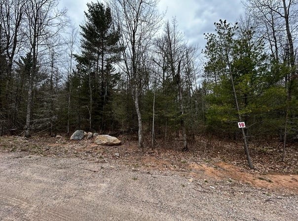 BUTTERNUT CIR lot: 16, Eagle River, WI 54521