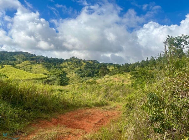 Orocovis, Orocovis, PR 00720