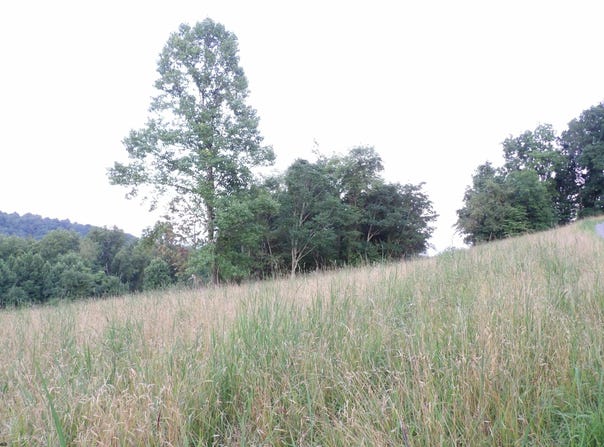 Lakeview Drive, Grafton, WV 26354