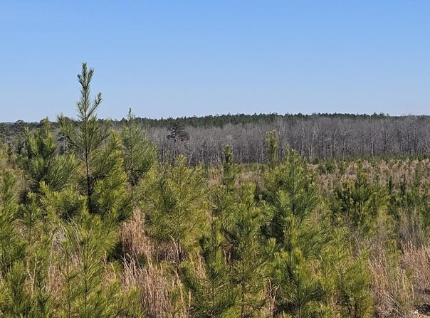 HIGHWAY 139 lot: 1, RANDOLPH, AL 36792