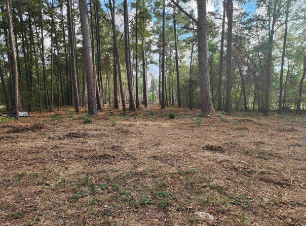 371 County Road 4152, Pittsburg, TX 75686