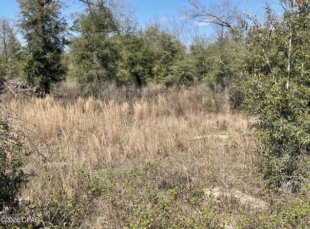 Speights Way, Bascom, FL 32423
