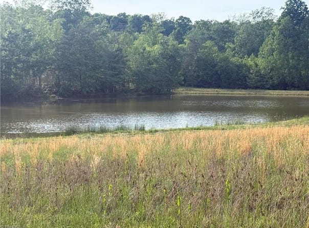 Amostown Road, Sandy Ridge, NC 27046