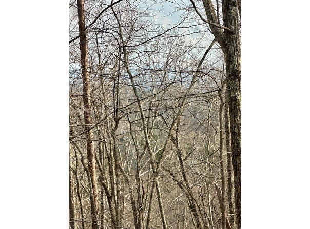 Prospect Ridge lot: 27, Blue Ridge, GA 30513