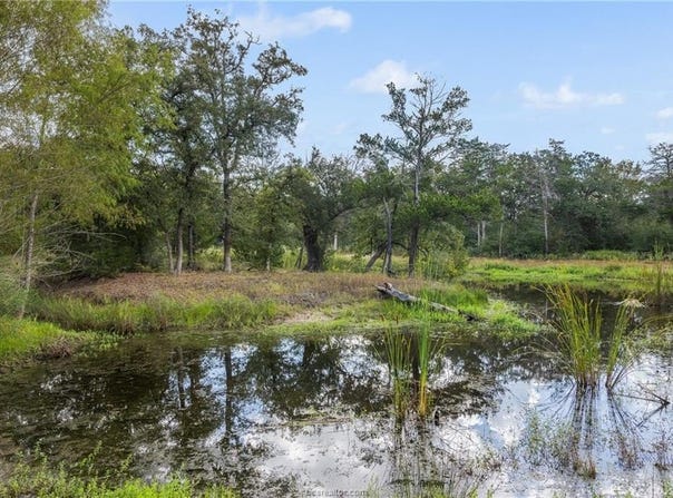 4141 Fm 60 W, Somerville, TX 77879