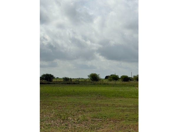 1993 FM 2761, Cat Spring, TX 78933