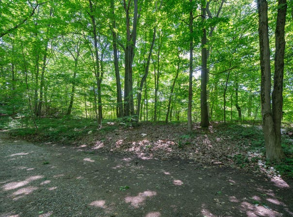 VL Ramblewood Circle, Covert, MI 49043