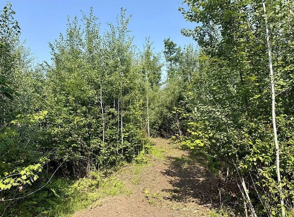 4 County Road T, Danbury, WI 54830