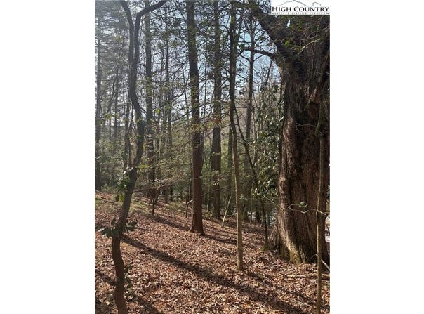 Hollyknoll Rd. Lot #49 & 50, Glade Valley, NC 28627