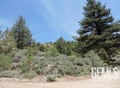 16300 Jungfrau Way, Tehachapi, CA 93561