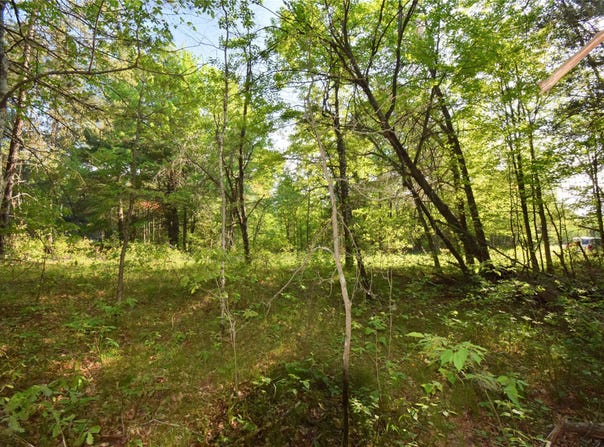 Setting Sun Trail Way lot: 31, Danbury, WI 54830