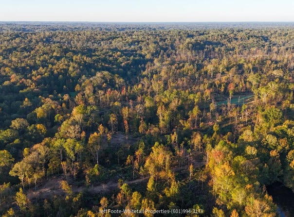 Rodney Road lot: #Wp002, Port Gibson, MS 39150
