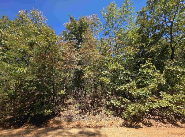 L4E B3 Ridgecrest Drive, Highland, AR 72542