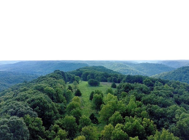Red Bridge Rd, Ozark, MO 65721