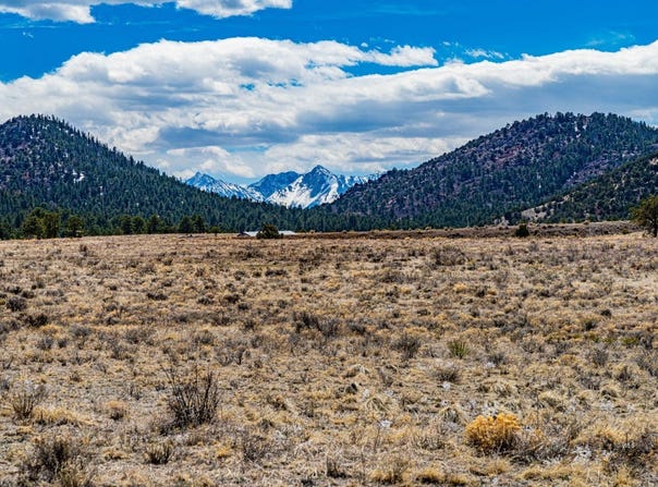 Marcey Rd lot: 36, Westcliffe, CO 81252