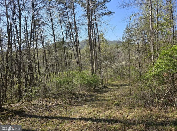 S FT VALLEY RD lot: 1, MADISON, VA 22727