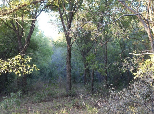 Eureka School Road, Nocona, TX 76255