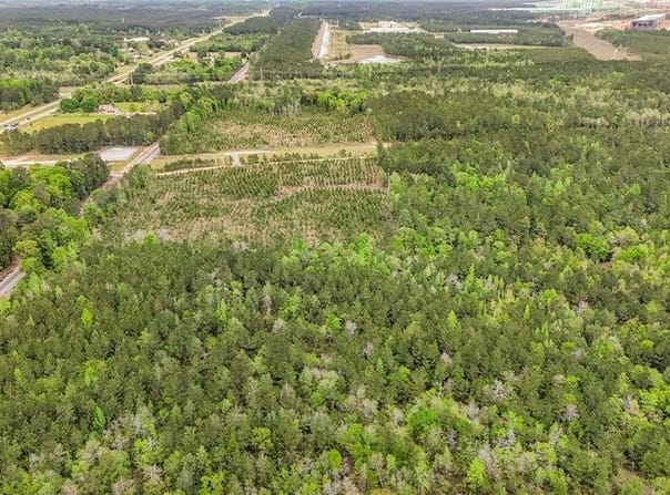 Highway 43 N, Mount Vernon, AL 36560