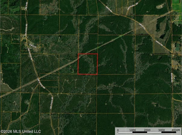 N Joe Dyess Road, Carson, MS 39427