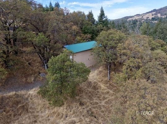 250 Sanicula Rd, Mad River, CA 95552