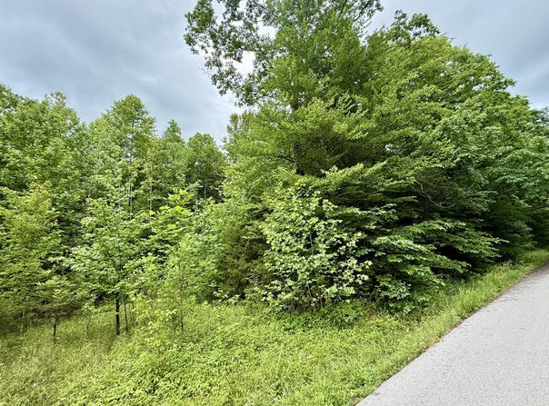 1350 Owens Branch Road, Dunnville, KY 42528