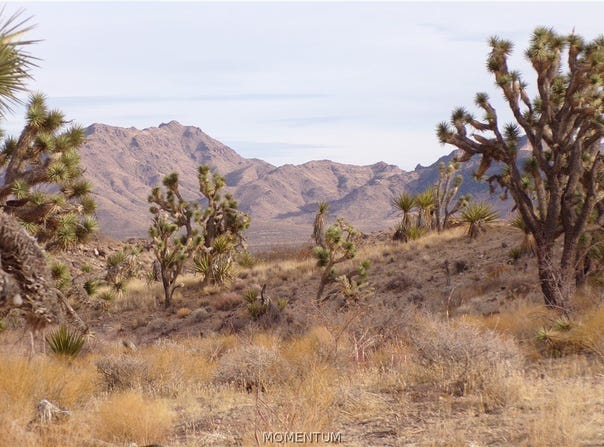 319-07-011B W 20th Street, Dolan Springs, AZ 86441