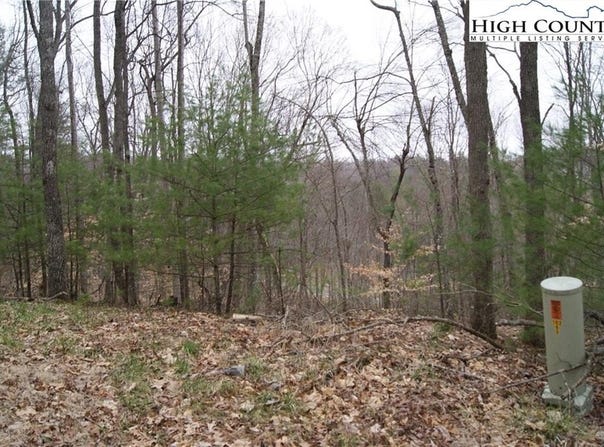 Forest Hill Drive lot: 75, Sparta, NC 28675