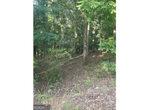 330 Caldwell Circle, Athens, GA 30606