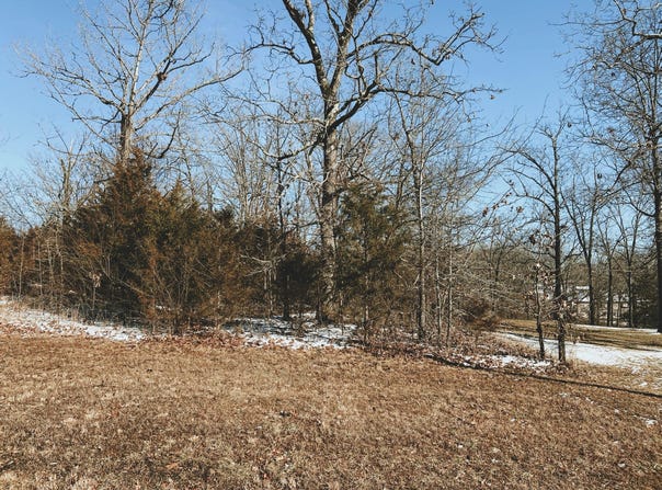 Rhonda Drive Lot 2, West Plains, MO 65775