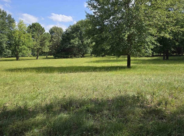 22695 County Road 223, Arp, TX 75750