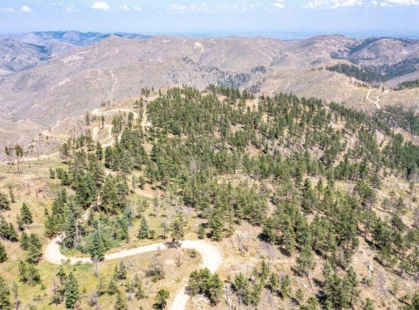 Stratton Park Rd, Bellvue, CO 80512