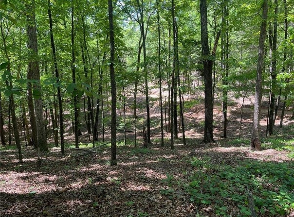 TR 3 Chalcrest Way, Cave Spring, GA 30124