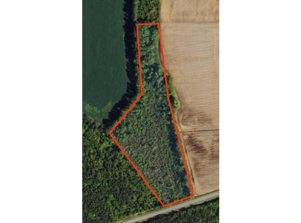 Pinckney Rd., Nichols, SC 29581