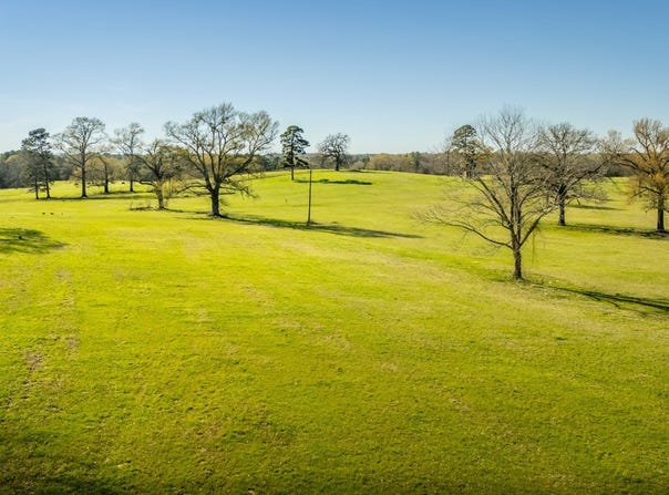 338 Cherokee Lane, Gladewater, TX 75647