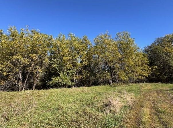DD Blacktop, Pattonsburg, MO 64670