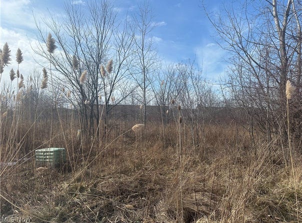 Charles Drive, Lorain, OH 44053
